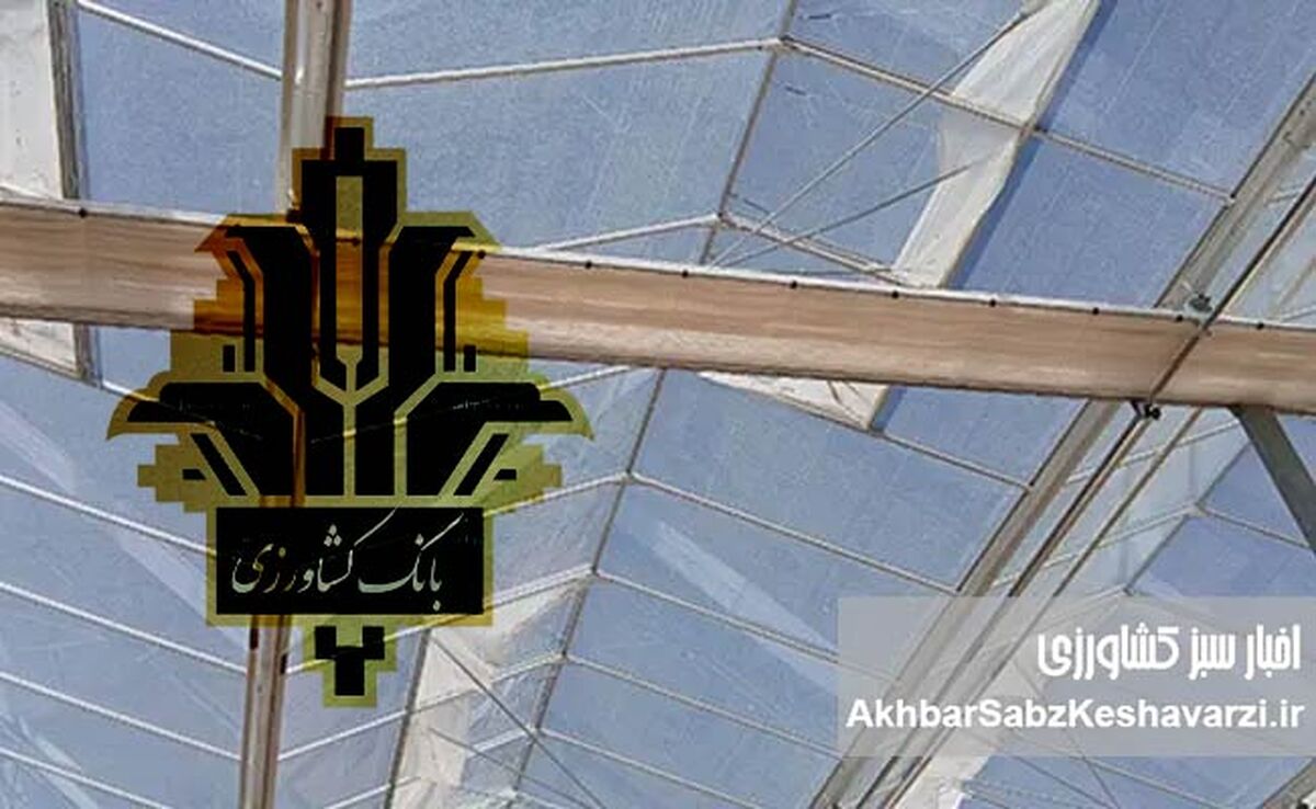 بانک کشاورزی؛ تکیه‌گاه گلخانه‌داران در مسیر امنیت غذایی