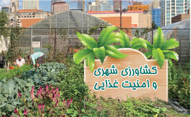 کشاورزی شهری و امنیت غذایی

