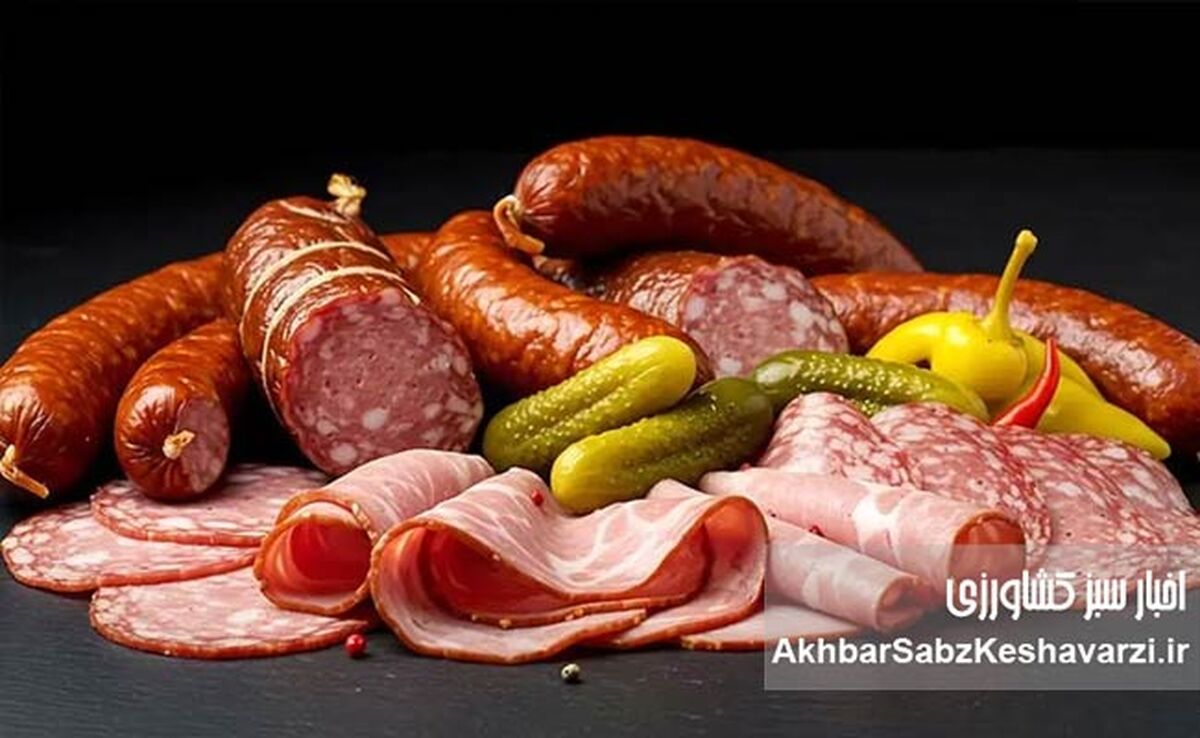 پروتئین ارزان‌قیمت: راهنمای کامل نجات سبد خرید در دوران گرانی و حفظ سلامتی+جدول