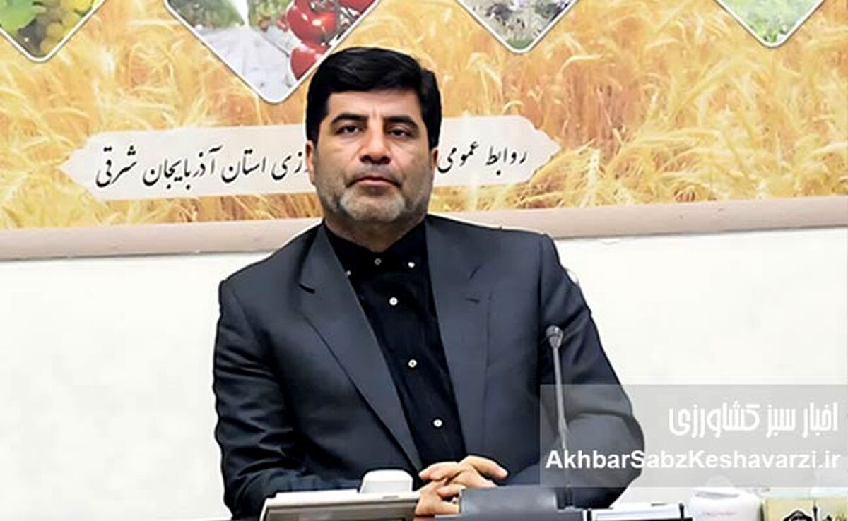 کاهش قیمت تمام‌شده تولید کشاورزی: شاه‌کلید بقا و امنیت غذایی ایران دهه آینده