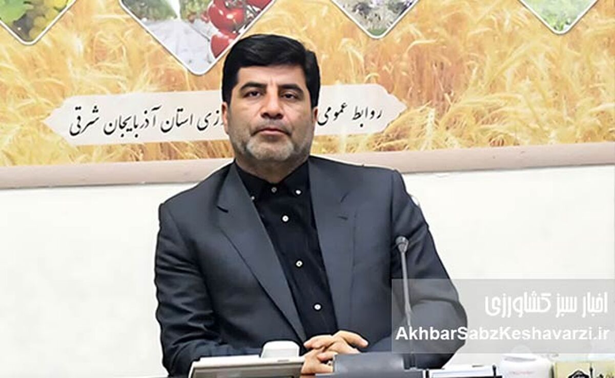 کاهش قیمت تمام‌شده تولید کشاورزی: شاه‌کلید بقا و امنیت غذایی ایران دهه آینده