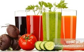 راز نگران‌کننده نوشیدنی‌های رژیمی و افزایش اشتهای پنهان/ هشدار تازه پژوهشگران