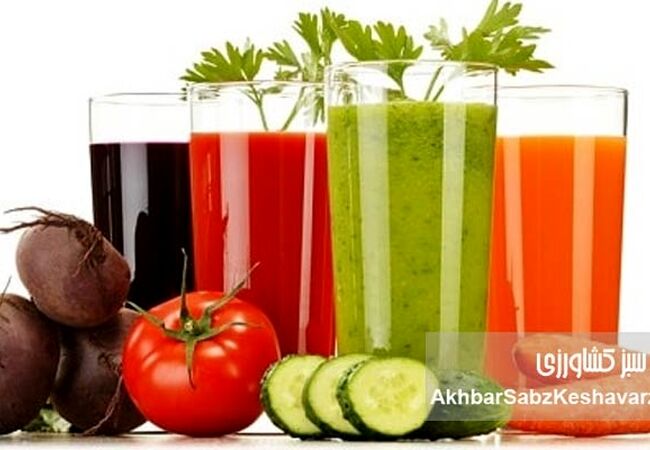 راز نگران‌کننده نوشیدنی‌های رژیمی و افزایش اشتهای پنهان/ هشدار تازه پژوهشگران