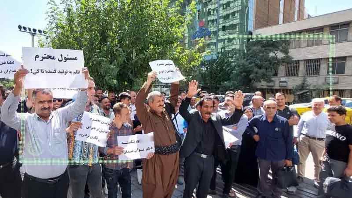  هنوز مطالبات تولیدکنندگان بذر پرداخت نشده


