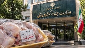 مرغ تاریخ‌مصرف‌گذشته؛ وقتی سلامت مردم قربانی ضعف نظارت می‌شود