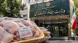 مرغ تاریخ‌مصرف‌گذشته؛ وقتی سلامت مردم قربانی ضعف نظارت می‌شود