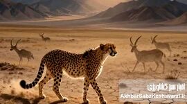 ​فراتر از یک تقویم؛ نجوای بقا در فلات ایران

