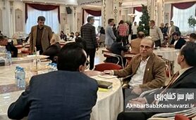 بازار افغانستان، فرصت تازه برای گسترش محصولات کیمیای سبز رفسنجان