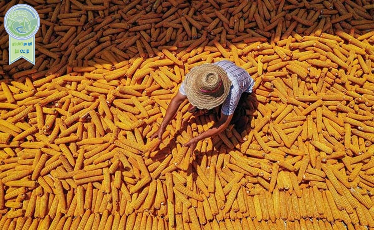 در میانه جنگ تعرفه‌ها، طرح بزرگ چین برای خودکفایی غذایی