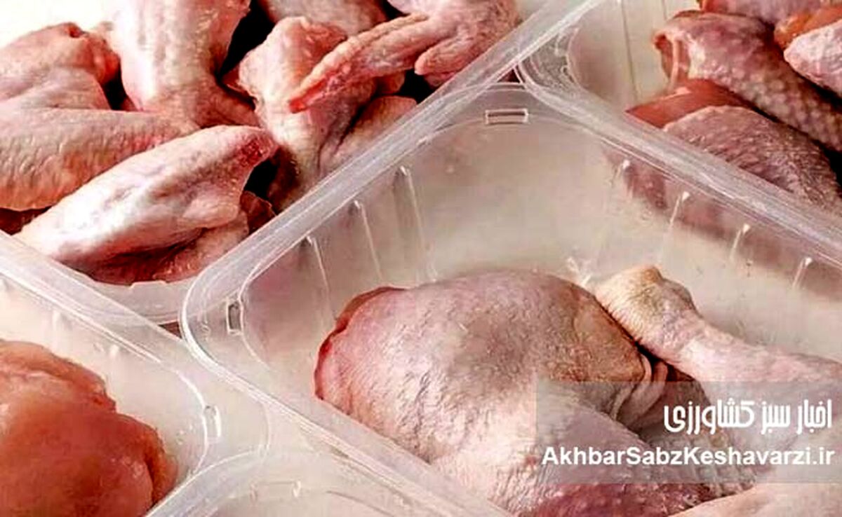 اضافه شدن گوشت بوقلمون به طرح کالابرگ الکترونیکی: علت مازاد تولید یا سیاست‌های حمایتی؟
