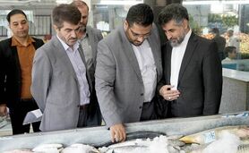مهمترین ماموریت سازمان میادین ارتقای کیفیت خدمات‌رسانی است

