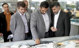 مهمترین ماموریت سازمان میادین ارتقای کیفیت خدمات‌رسانی است

