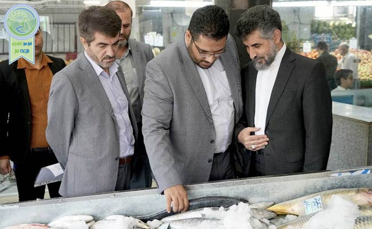 مهمترین ماموریت سازمان میادین ارتقای کیفیت خدمات‌رسانی است

