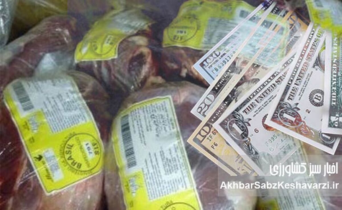 ارز حرام شده برای واردات گوشت را به تولید کننده بدهید+ویدئو