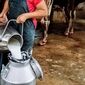 چرا ایران با وجود تولید بالای شیر، همچنان به واردات برخی محصولات لبنی نیاز دارد؟