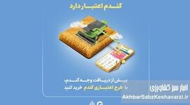 گندم اعتبار دارد؛ طرح گرین‌پی ویژه گندم‌کاران