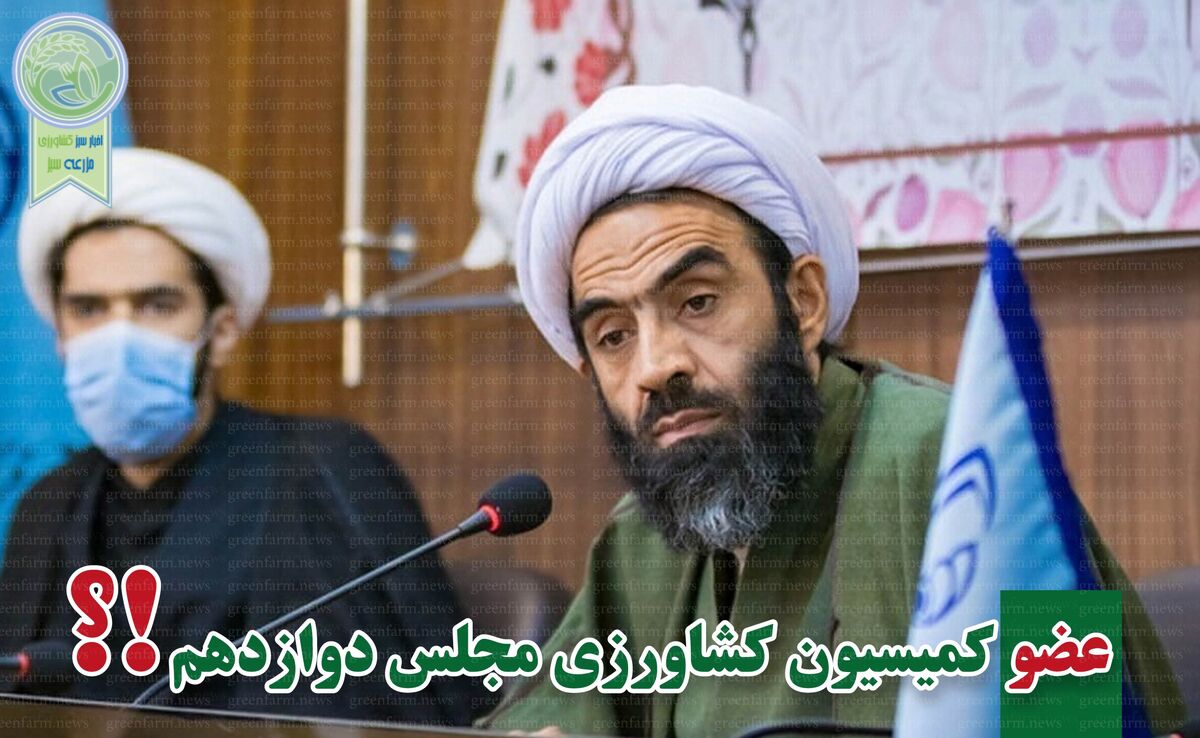 محمدتقی نقدعلی بار دیگر در بهارستان ماندگار شد

