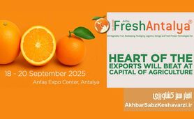 تجربه صادراتی بی‌نظیر در نمایشگاه Fresh Antalya+ جزئیات