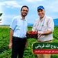 معجزه توت‌فرنگی در دلند؛ وقتی دانش جای سموم را می‌گیرد

