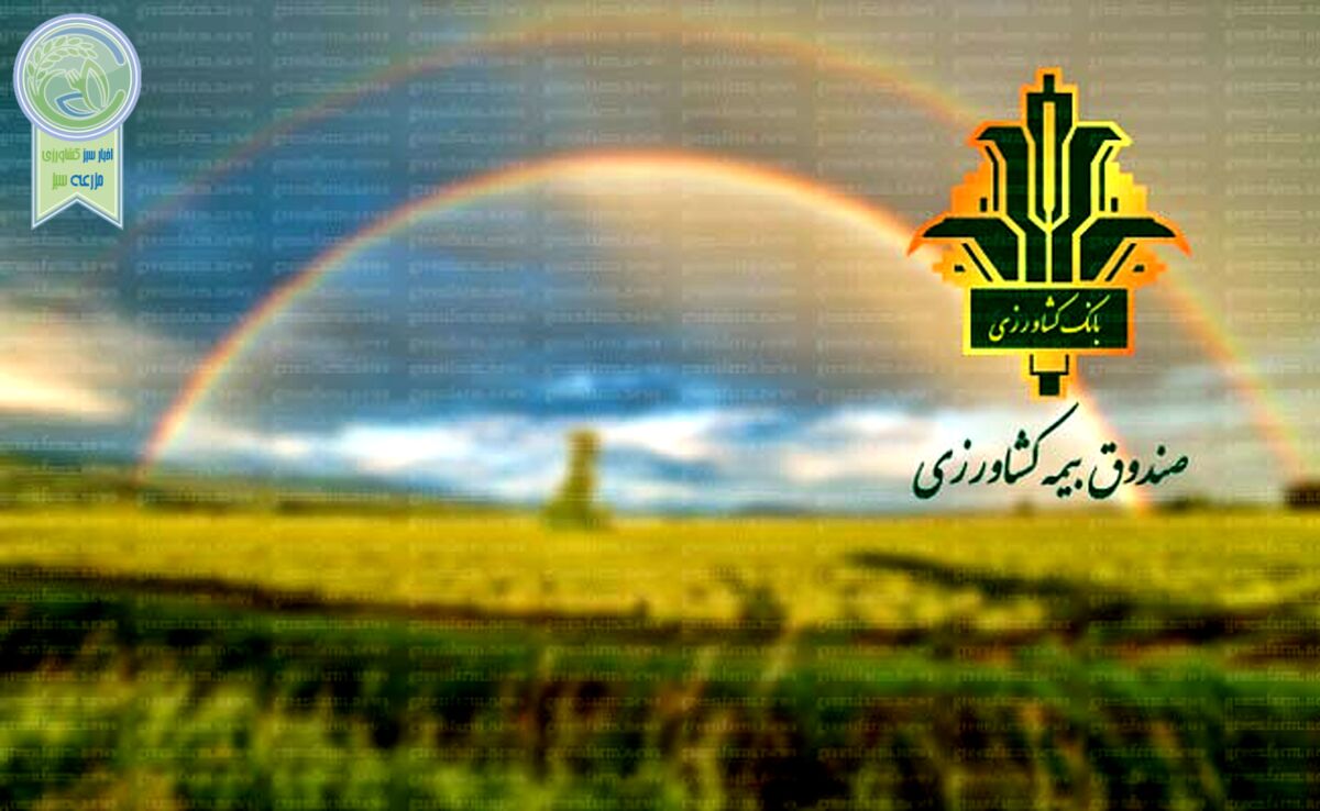 تقویت صندوق بیمه محصولات کشاورزی برای حمایت بیشتر از کشاورزان
