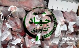۴ میلیون یورو پرکشید؛ رسوایی هدررفت ارز ترجیحی و مطالبه پاسخگویی
