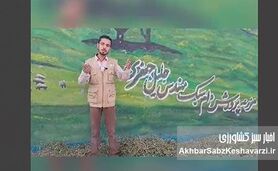 فریاد دامدار خسته: نهاده نیست، وزیر جهاد کجایی؟+ ویدئو
