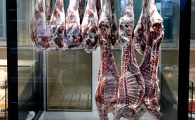 ۷۰۰ میلیون دلار واردات گوشت طی ۶ ماه

