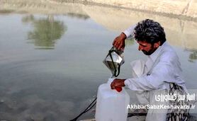 حقابه هیرمند؛ بحران آب و راهکارهای ایران در برابر چالش‌های اقلیمی