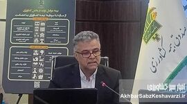 آغاز سال دوم اجرای «طرح بیمه فراگیر گندم»؛ گزارش دکتر شمس‌زاده از عملکرد سال نخست