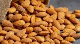 بادام؛ معجزه‌ای برای کالری‌سوزی