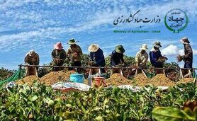تعاونی‌ها چشم انتظار حمایت آقای وزیر

