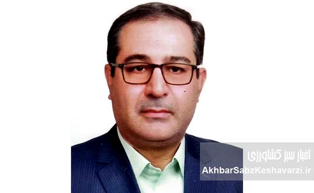 علی(ع) و عدالت؛ چرا نام امام علی همیشه با انصاف گره خورده است؟