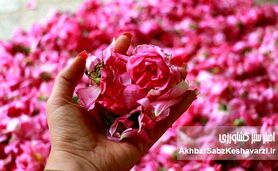 مشکلات گردشگری کاشان؛ شهر گلاب، گل دارد اما آب و برق و رمق گردشگری نه!
