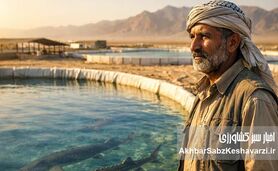 رفاه آبزیان (Fish Welfare)؛ چرا ماهی‌های «خوشحال» گوشت سالم‌تر و خوش‌طعم‌تری دارند؟