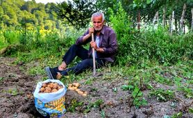 کشاورزان ایرانی نه تنها یارانه نمی‌گیرند بلکه یارانه هم می‌دهند


