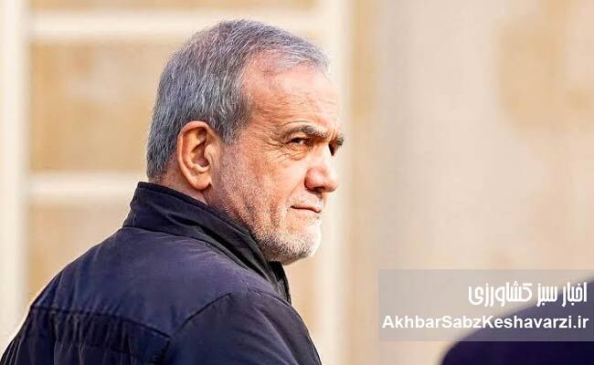 سیلی نقد ناکارآمدی؛ نگاهی به کارنامه و وعده‌های دولت چهاردهم