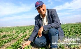 وقتی شهر نفس می‌کشد؛ چگونه درختان دما را به‌طور طبیعی کاهش می‌دهند