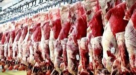 انباشتگی ۵۰ هزارتن گوشت قرمز روی دست دامداران

