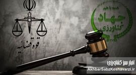ورود قوه قضاییه به گرانی ارز؛ پرونده‌سازی برای ترک فعل‌ها آغاز شد