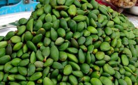 قیمت چغاله بادام از گوشت هم پیشی گرفت/ میوه‌های میلیونی در بازار
