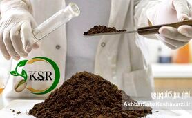 آزمایشگاه تخصصی کیمیای سبز رفسنجان، راهی نو برای افزایش بهره‌وری