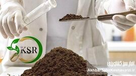 آزمایشگاه تخصصی کیمیای سبز رفسنجان، راهی نو برای افزایش بهره‌وری