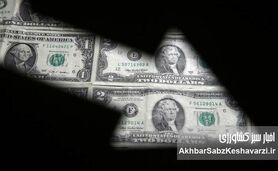 ترمز دلار کشیده شد؛ سکه در مسیر صعودی/ جدول قیمت‌ها (۲۸ تیر)
