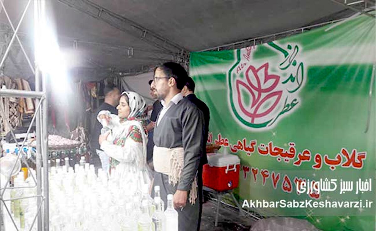 گلاب و عرقیجات سنتی: میراثی معطر، هویت ملی و پتانسیل جهانی ایران!
