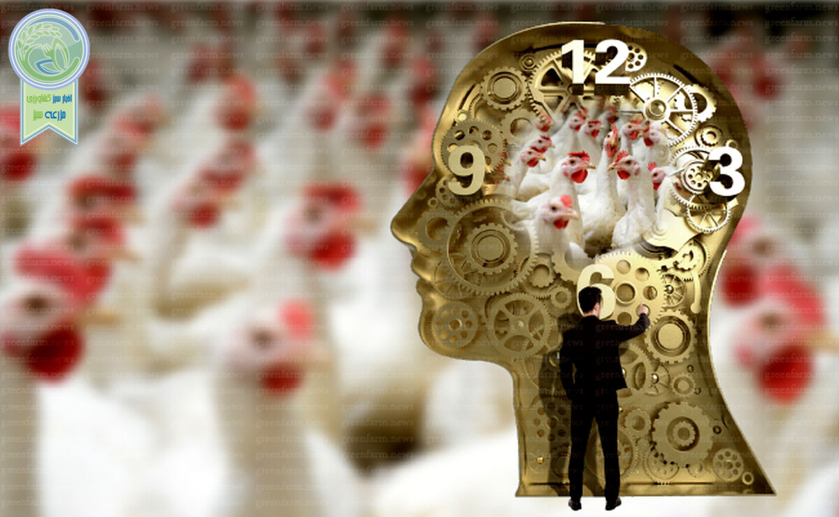 تولیدکننده ضامن امنیت غذایی

