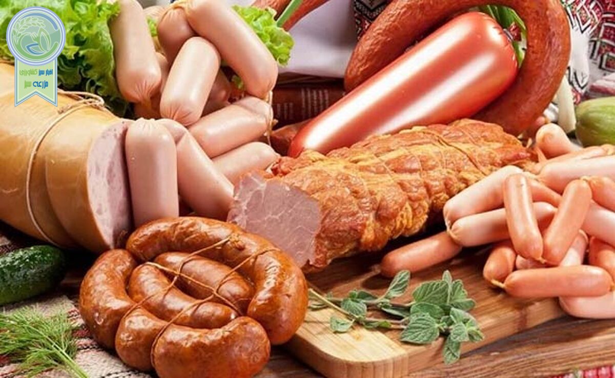 گوشت فرآوری شده و احتمال ابتلا به زوال عقل

