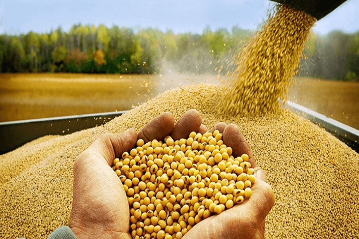 بن‌بست خودساخته در زنجیره تأمین غذایی کشور