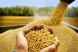 بن‌بست خودساخته در زنجیره تأمین غذایی کشور