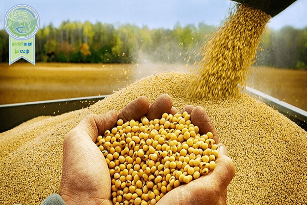بن‌بست خودساخته در زنجیره تأمین غذایی کشور