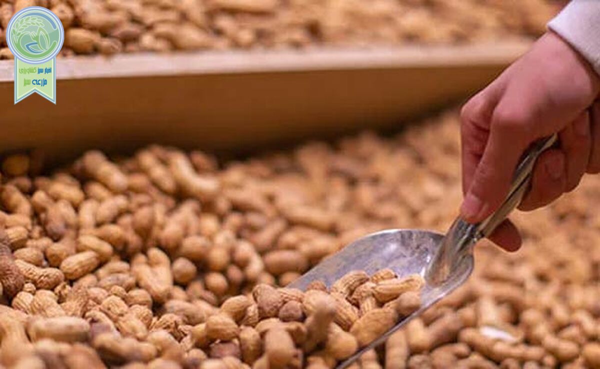 قیمت نهاده های دامی و محصولات کشاورزی در بازار ۱۴ تیر ۱۴۰۳+ جدول

